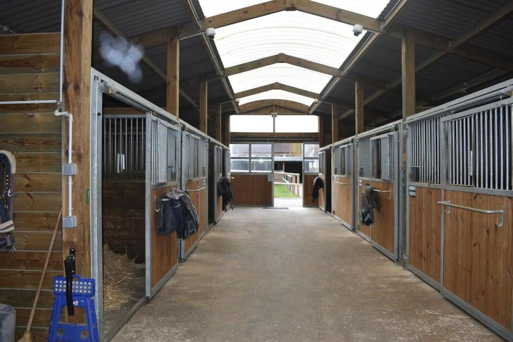 Haras De Connincthun Villa Beuvrequen Ngoại thất bức ảnh